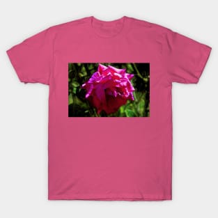 Shiny Pink Rose T-Shirt